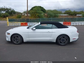 Ford Mustang 2.3L I-4 DI, DOHC, VVT, TURBO, 310HP Rear Wheel Dr, снимка 6