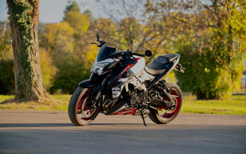 Suzuki Gsx S 1000 SWISS EDITION