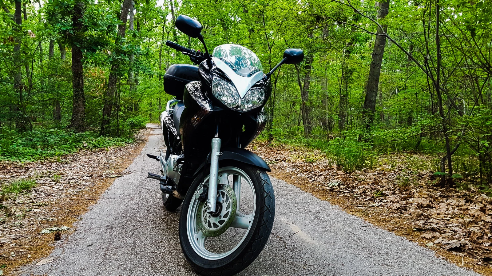 Honda Varadero 125 - изображение 6