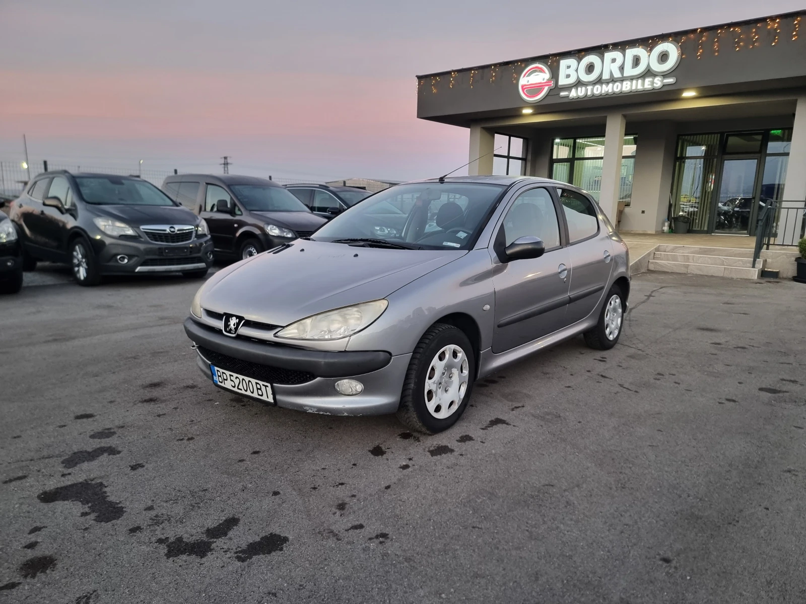 Peugeot 206 1.4HDI - изображение 3