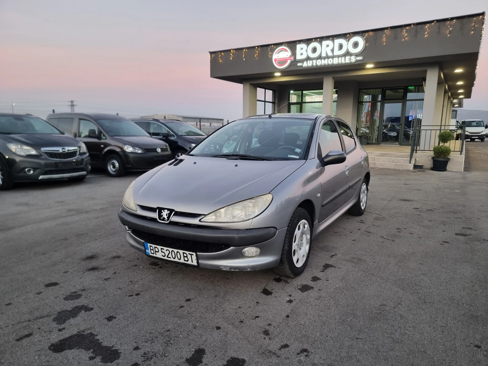 Peugeot 206 1.4HDI - изображение 2