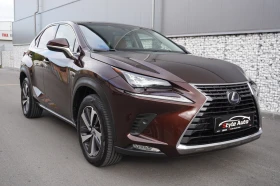 Lexus NX 300h LUXURY, FACE, TRI BEAM, CARPLAY, 88.000km!!  | Mobile.bg    7