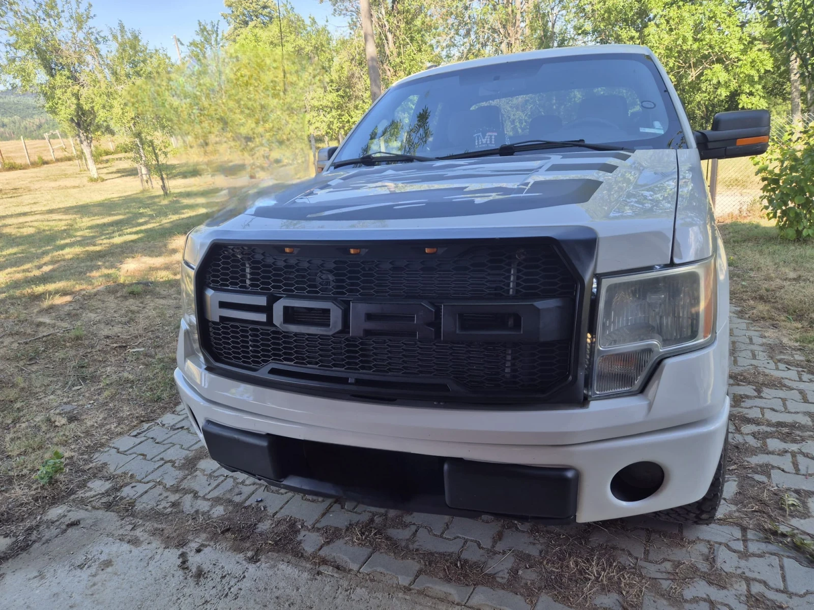 Ford F150, снимка 1
