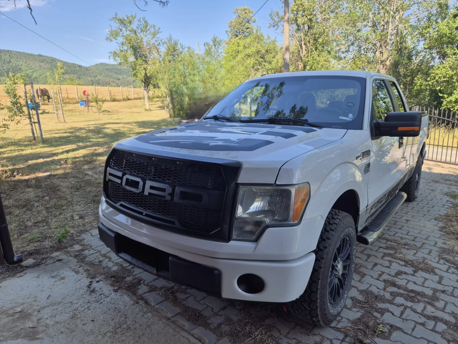 Ford F150  - изображение 2