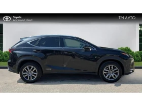 Lexus NX 300h Business Edition | Mobile.bg    17