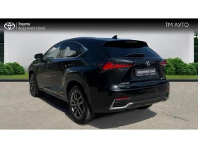 Lexus NX 300h Business Edition | Mobile.bg    2