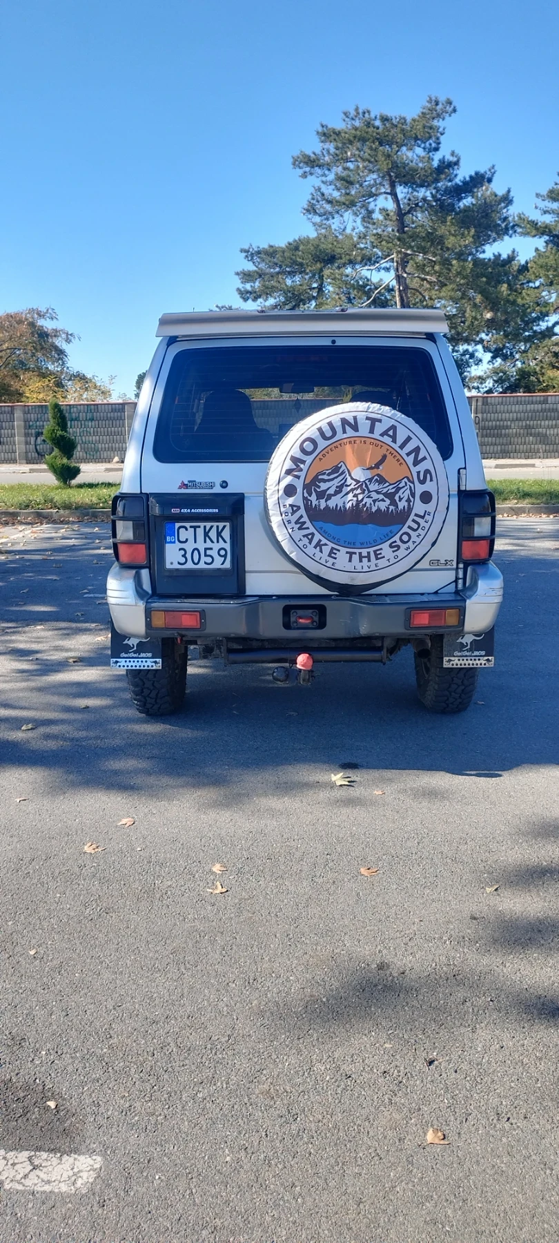 Mitsubishi Pajero TD - изображение 5