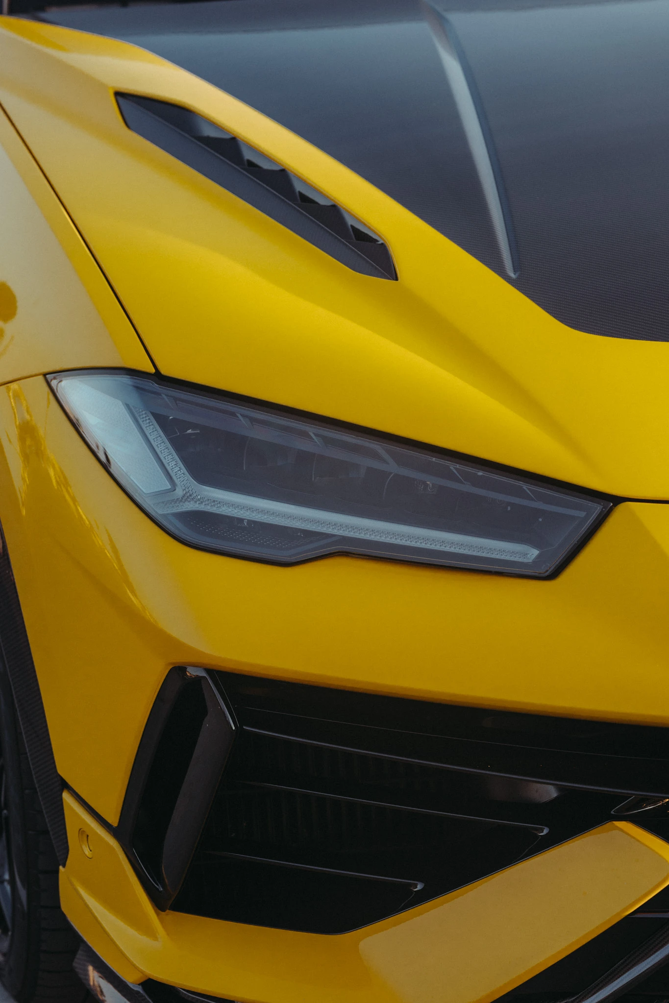 Lamborghini Urus PERFORMANTE FULL CARBON, снимка 5 - Автомобили и джипове - 55728472