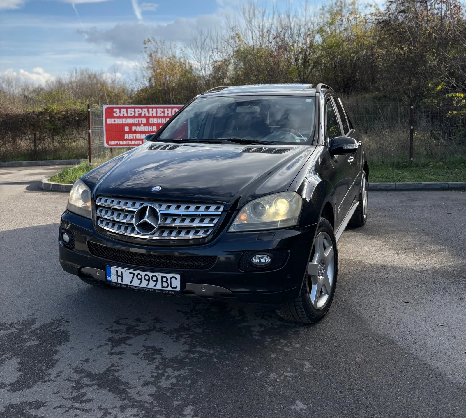 Mercedes-Benz ML 420 CDI 4MATIC, снимка 1