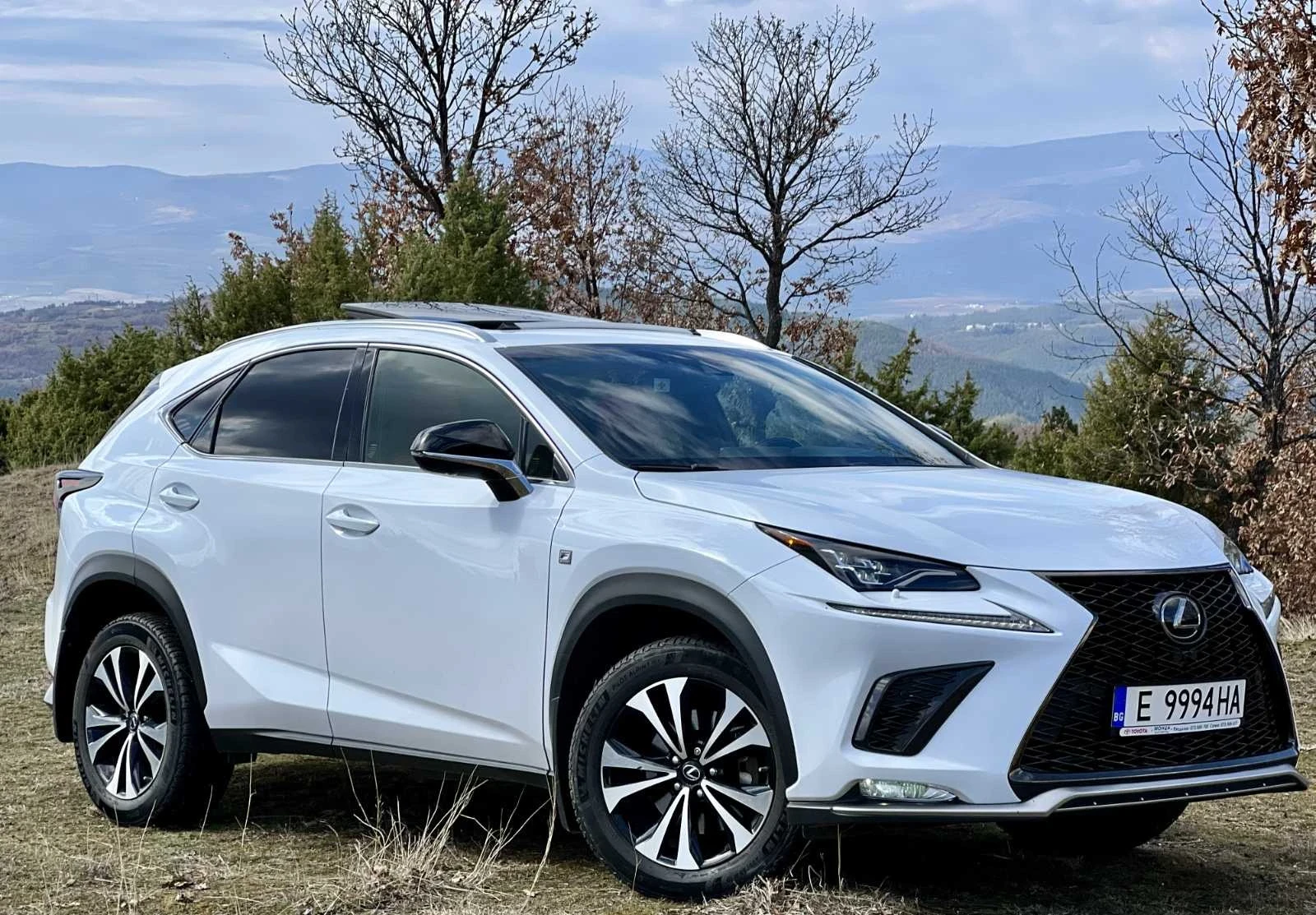 Lexus NX 300F Sport, снимка 8 - Автомобили и джипове - 56644498