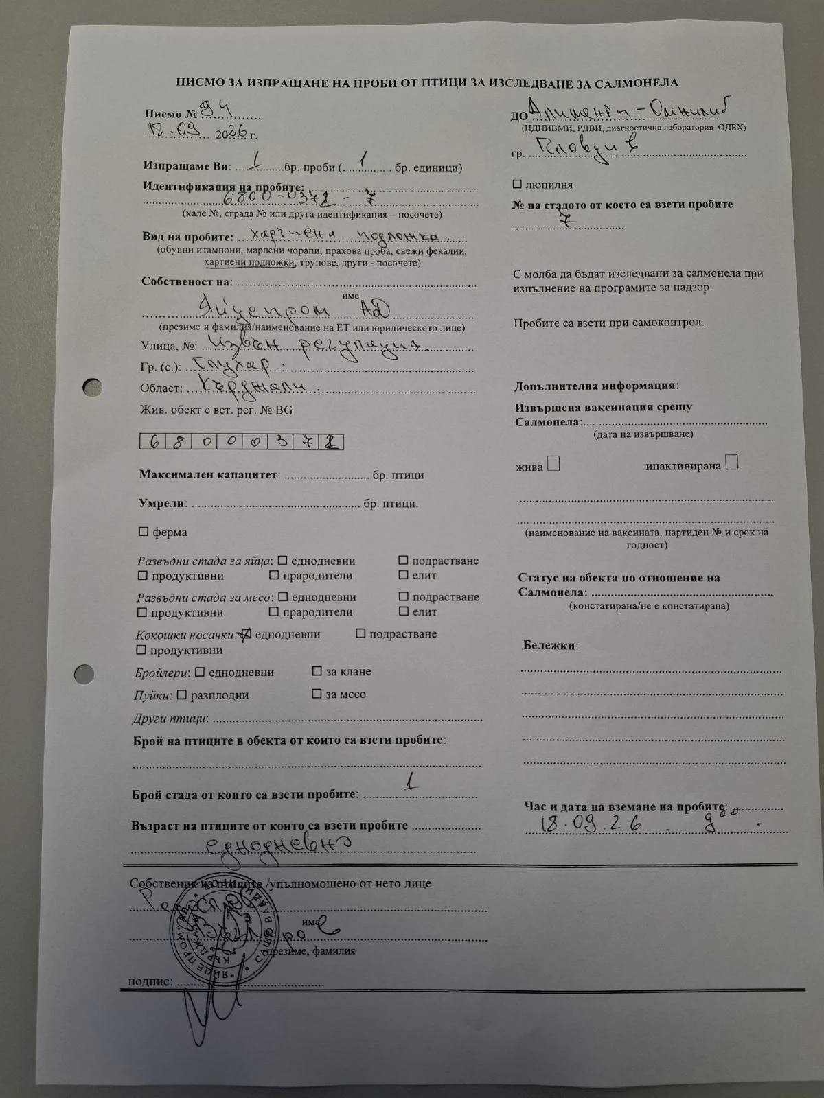 Iveco Daily | Mobile.bg � ����������� 5