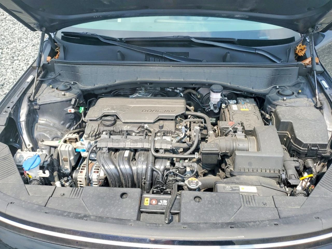 Hyundai Kona SEL AWD | Mobile.bg � ����������� 12