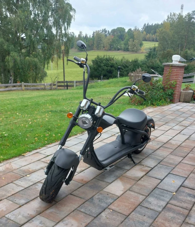 Мини мотоциклети Мини мотоциклети 2000W