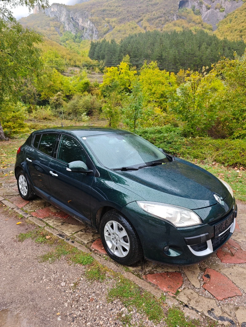 Renault Megane 1.5DCI НОВ ВНОС, снимка 13 - Автомобили и джипове - 50847892