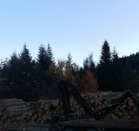 Man 26.463 Кран за трупи , снимка 4