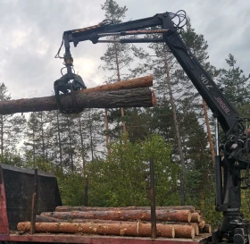 Man 26.463 Кран за трупи , снимка 2