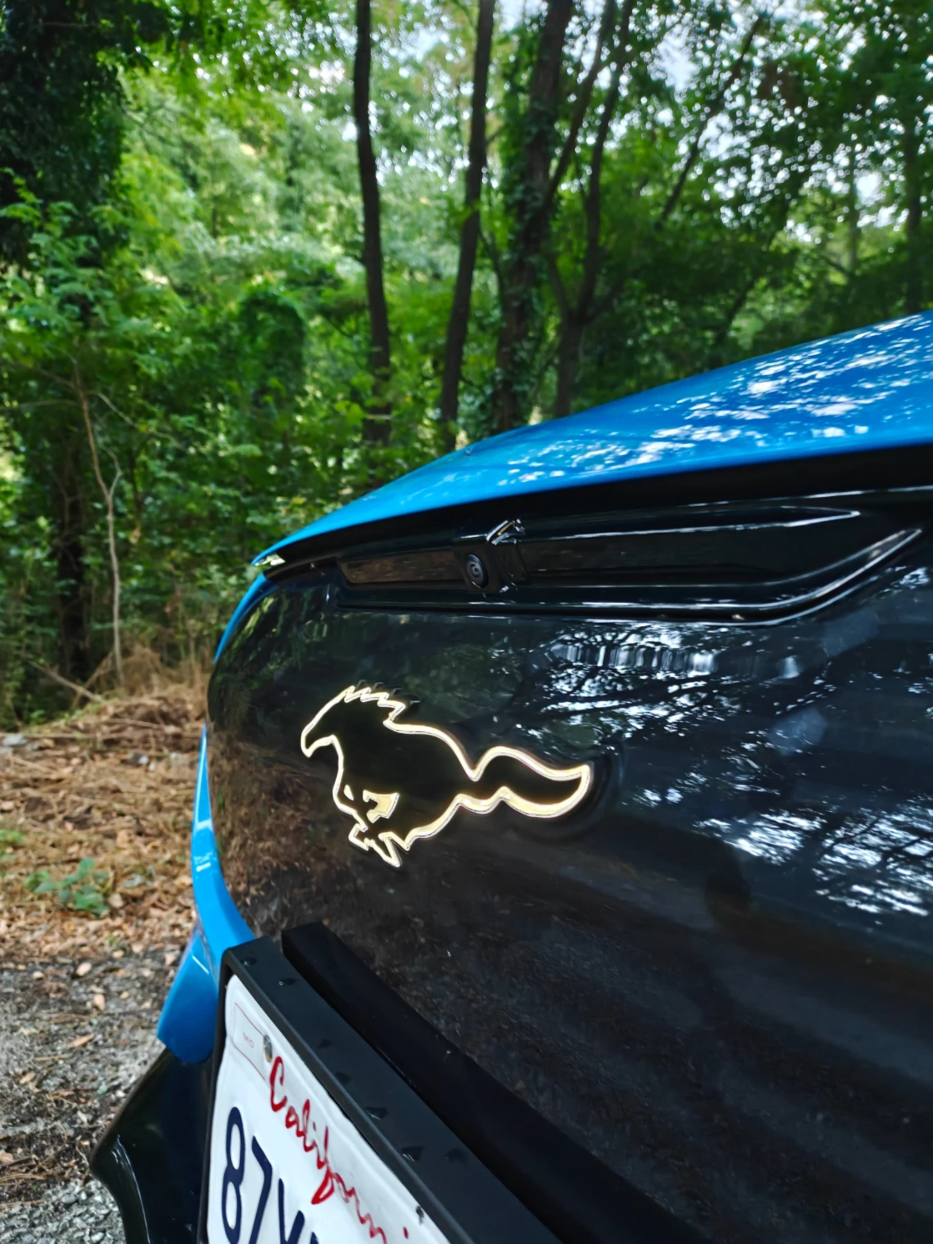 Ford Mustang Mach-E  Extended Range GT Performance Edition AWD  | Mobile.bg � ����������� 9