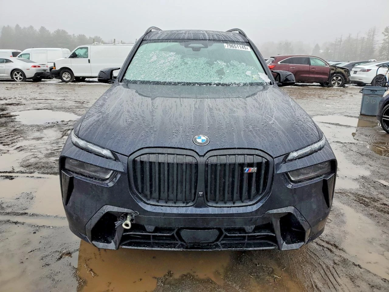 BMW X7 4.4l M60I | Mobile.bg � ����������� 5
