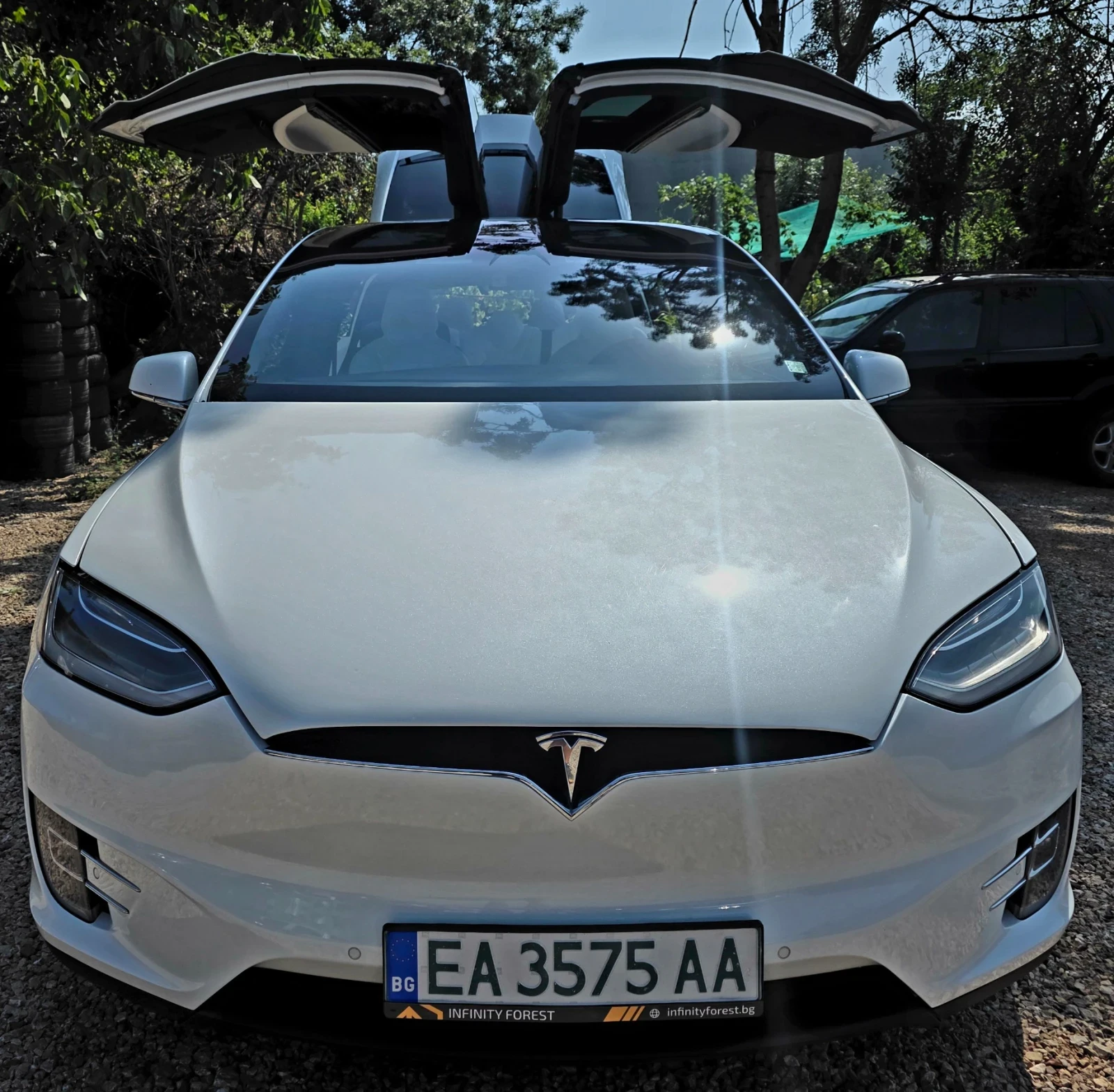 Tesla Model X Raven