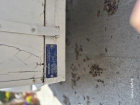 �� ��������� Venitrailers | Mobile.bg � ����� ������ 8