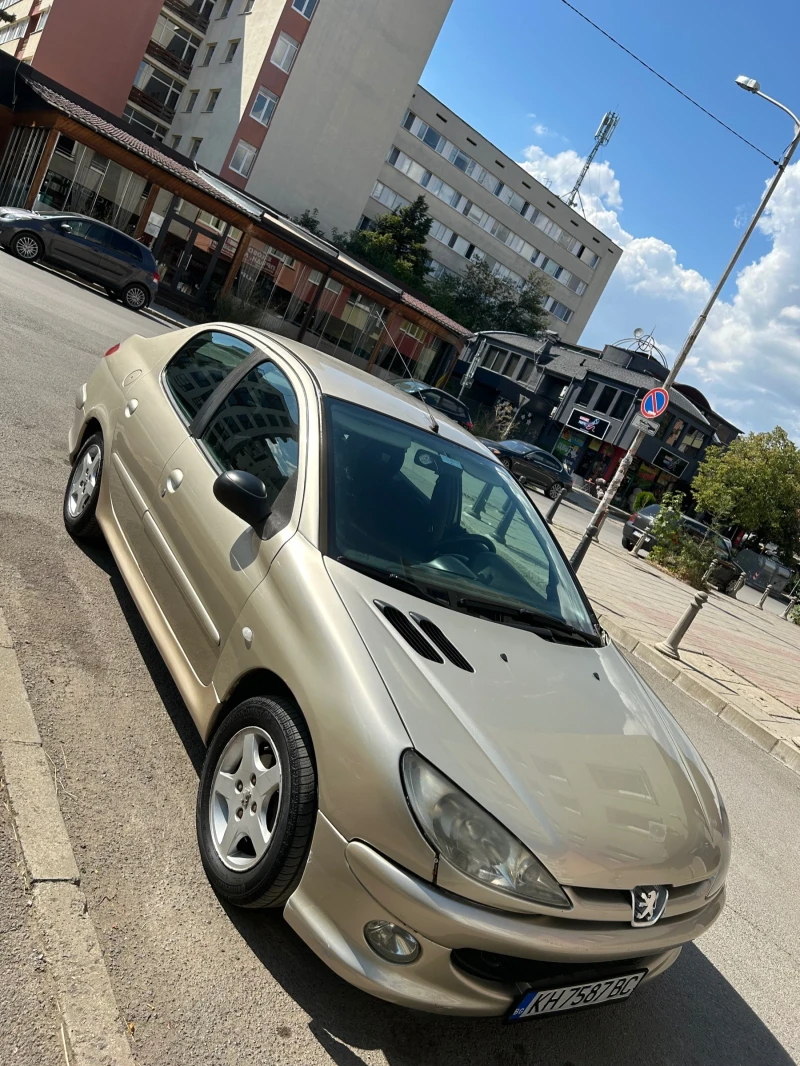 Peugeot 206 1.4 Face 2007, снимка 1 - Автомобили и джипове - 47150317