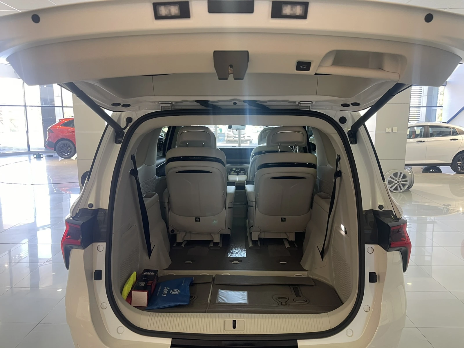 DONGFENG V9 HEV - изображение 10