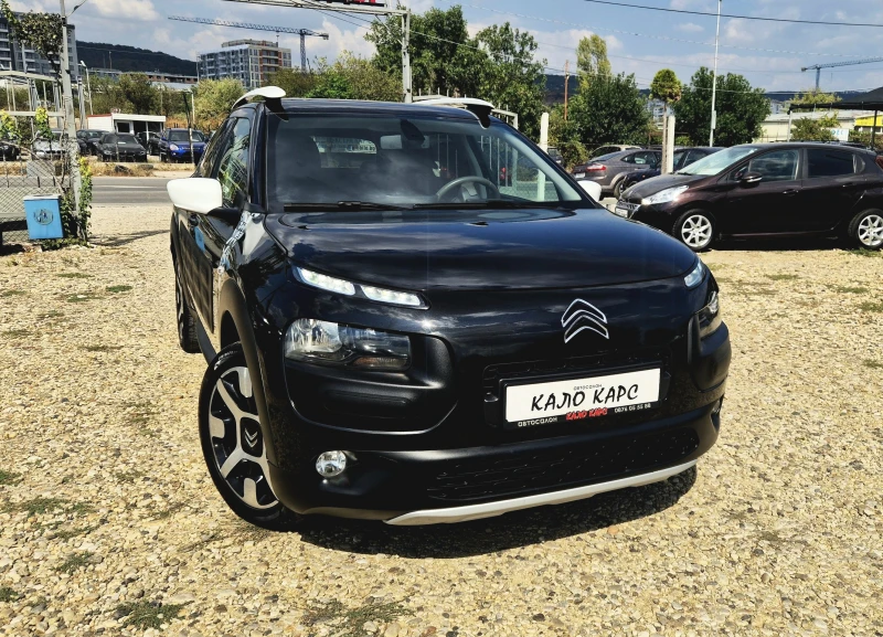 Citroen C4 Cactus Rip Curl 
