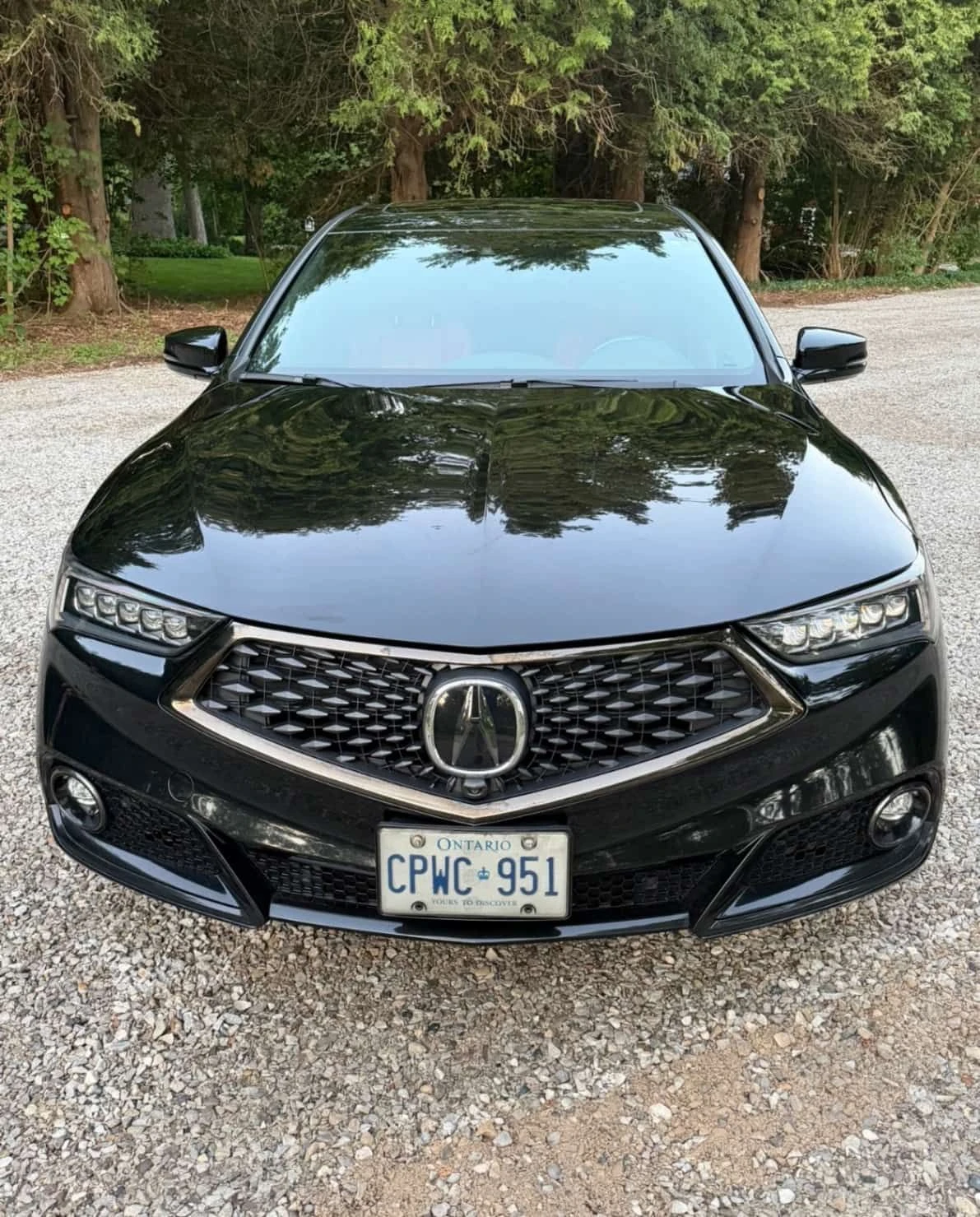 Acura TLX | Elite | CARFAX | 360 | ������� | ������� |  | Mobile.bg � ����������� 6