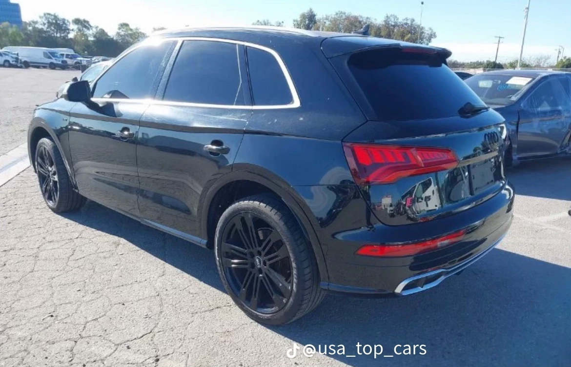 Audi SQ5  - изображение 3