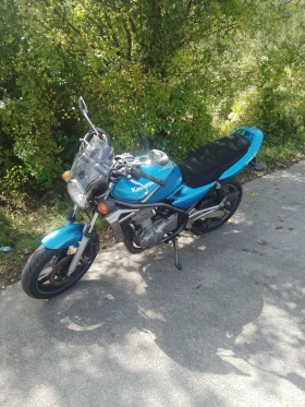     Kawasaki ER