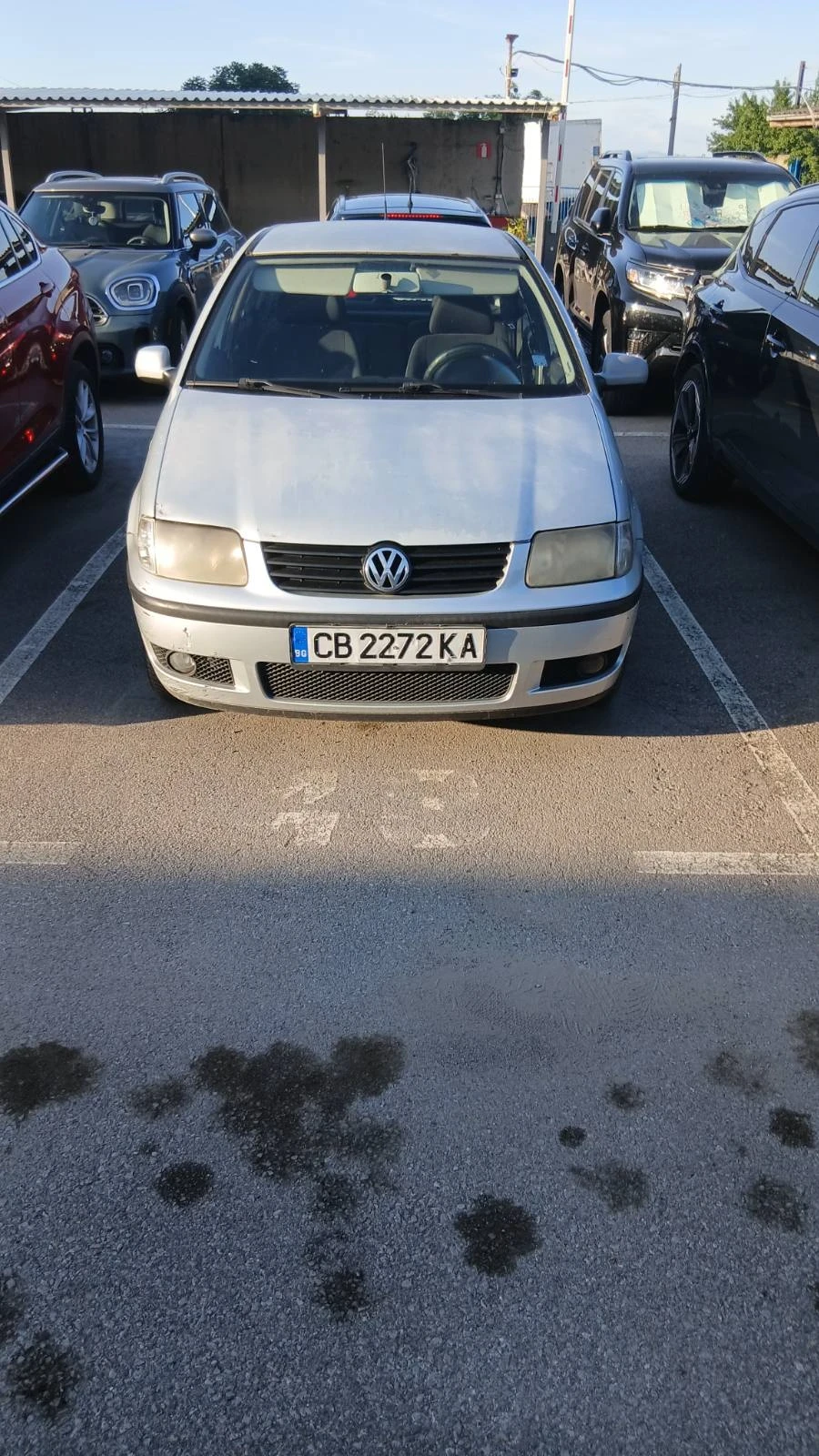 VW Polo
