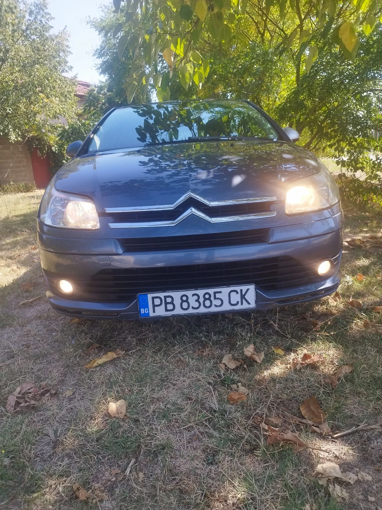 Citroen C4  - изображение 2