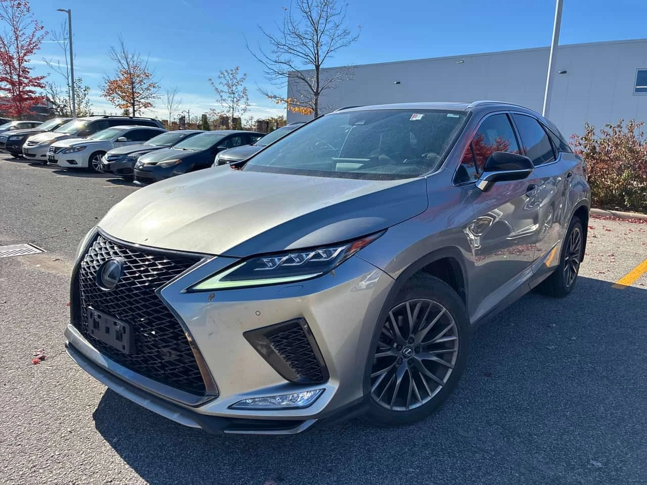 Lexus RX 350 ОТ ПРЕДСТАВИТЕЛСТВО/ДИСТРОНИК/ОБДУХ/КЛИП