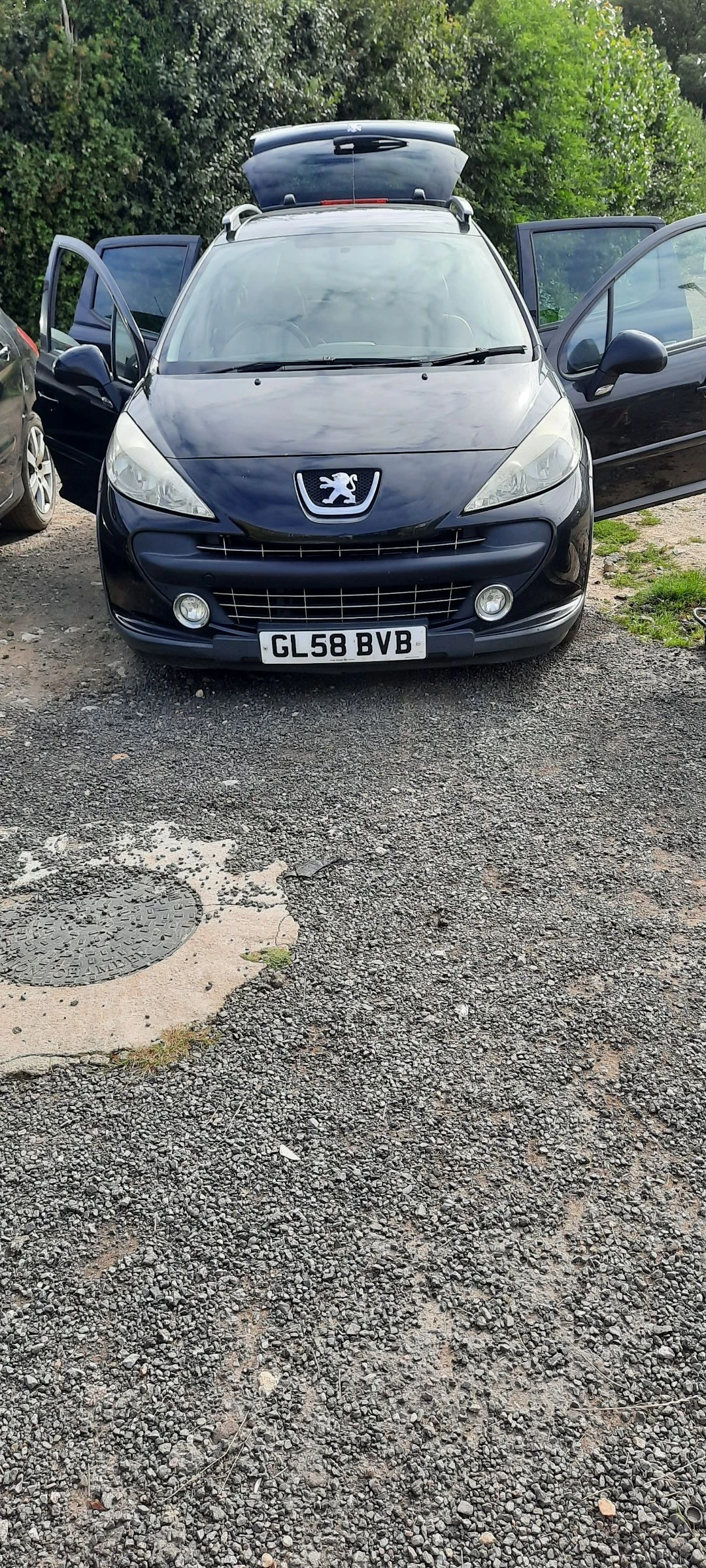Peugeot 207, снимка 2 - Автомобили и джипове - 53979796