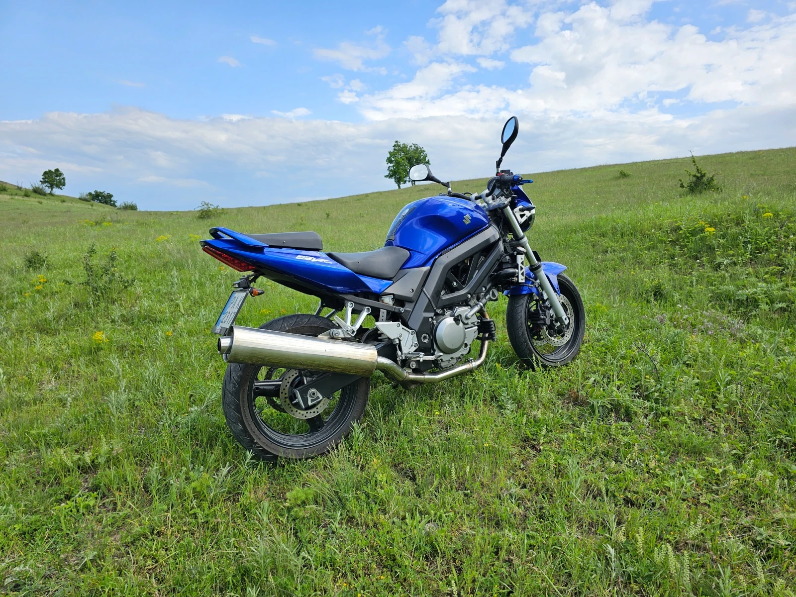 Suzuki SV  - изображение 2