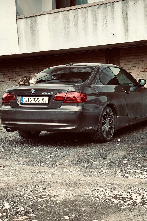 BMW 320  - изображение 2