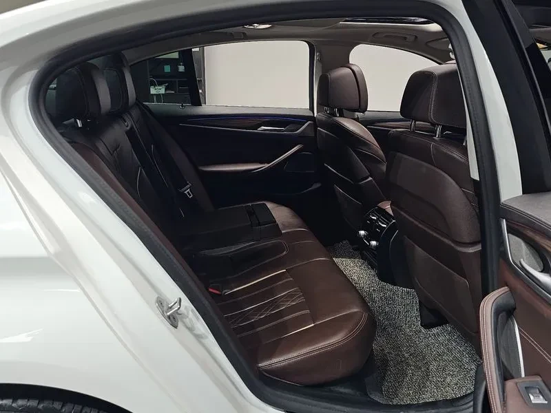 BMW 520 xDrive Luxury, снимка 10 - Автомобили и джипове - 55747927