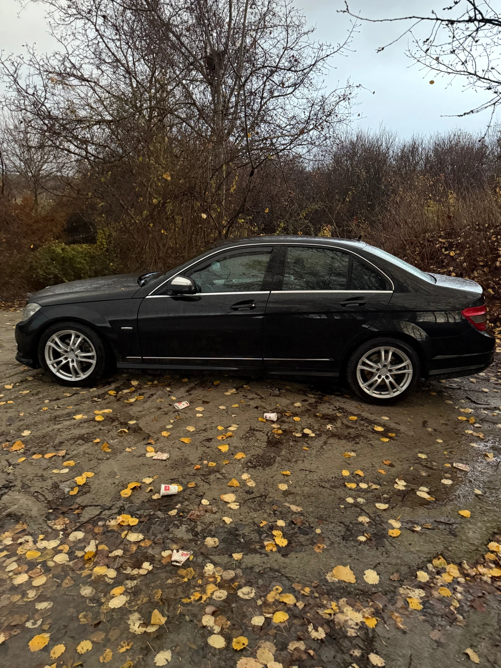 Mercedes-Benz C 220 C220cdi amg, снимка 2 - Автомобили и джипове - 54172999
