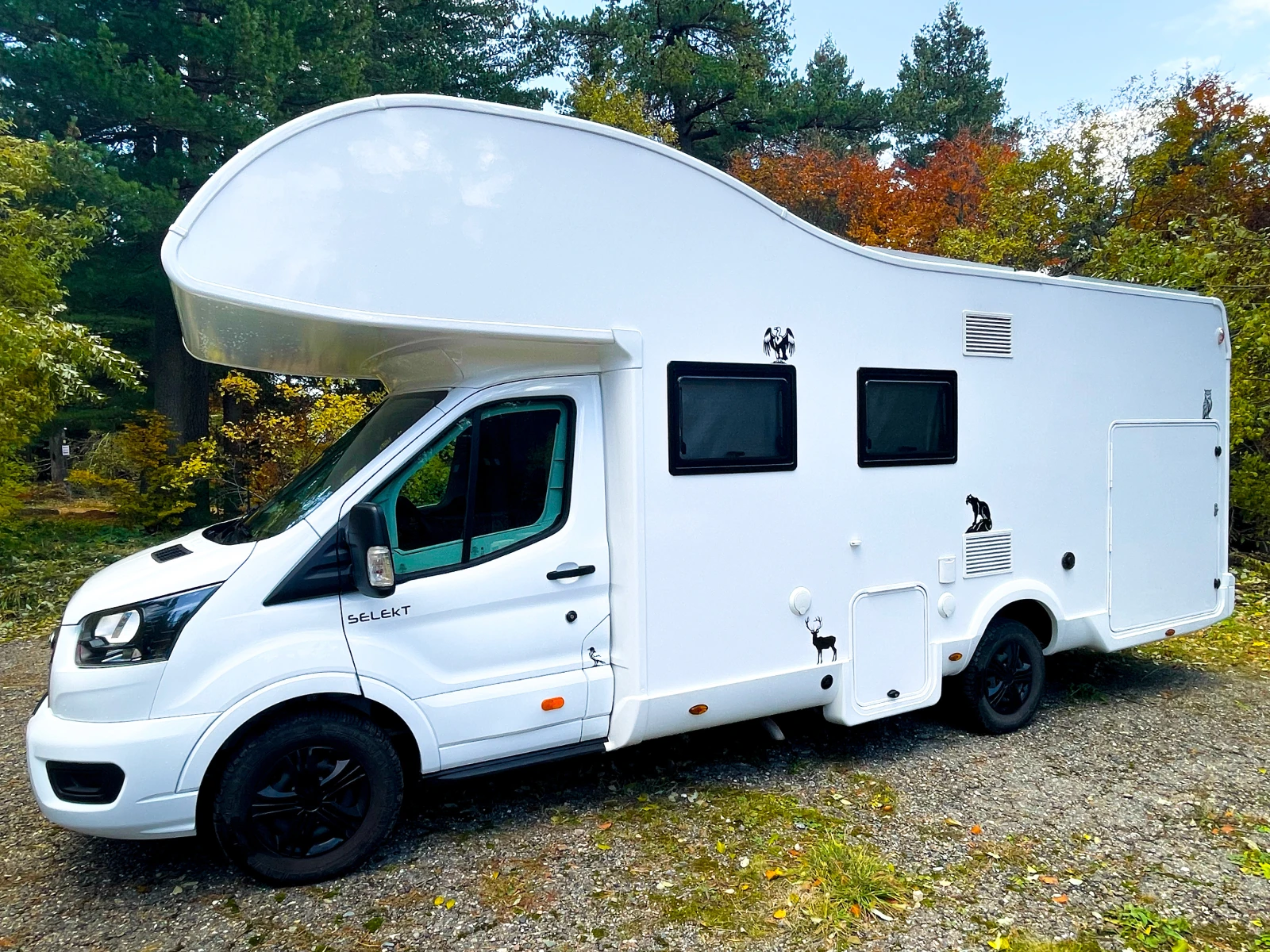  ROLLER TEAM KRONOS 290M | Mobile.bg   3