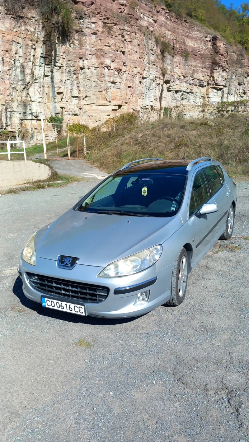 Peugeot 407 Sw, снимка 1 - Автомобили и джипове - 47854890