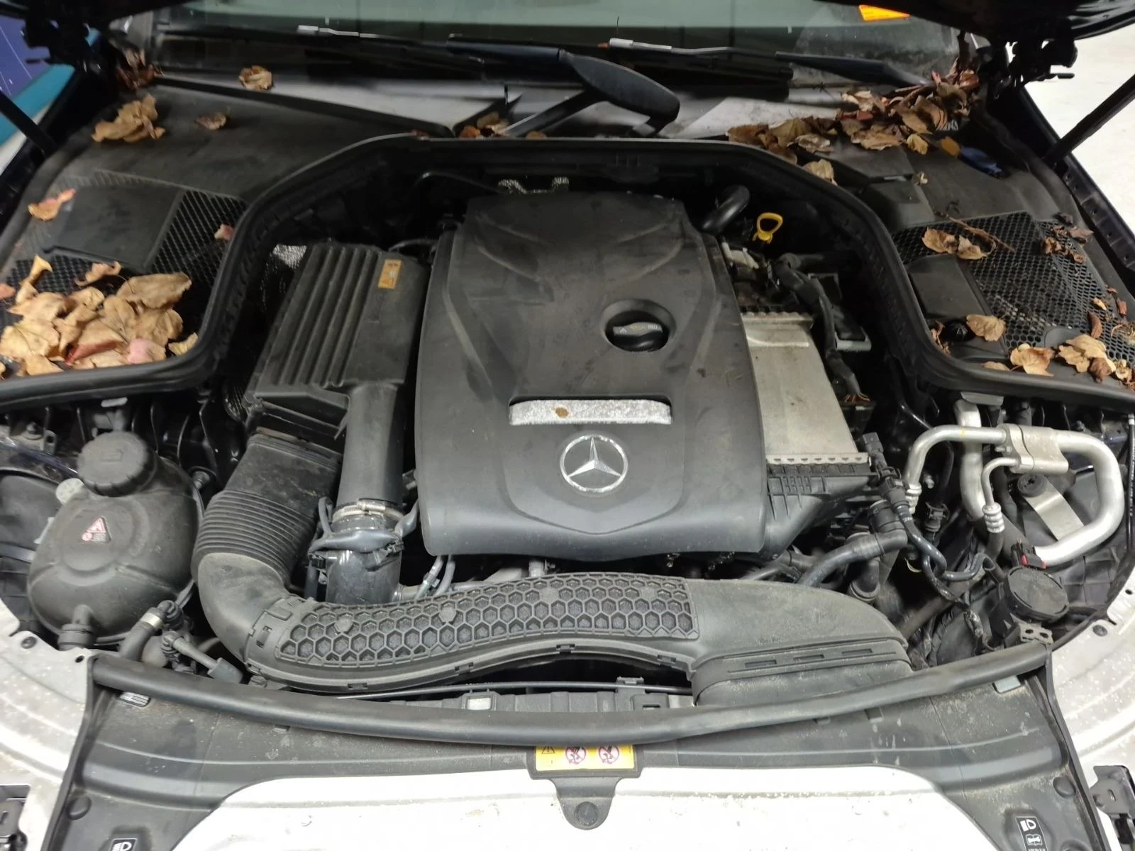 Mercedes-Benz C 300 AMG-pkg* 4M* *  | Mobile.bg   12