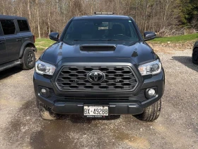 Toyota Tacoma | ���������� ��� ������������ ������ |  | Mobile.bg � ����� ������ 6