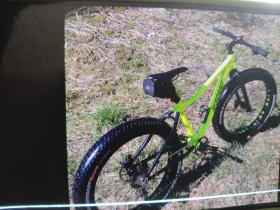  BEARBIKE | Mobile.bg    6