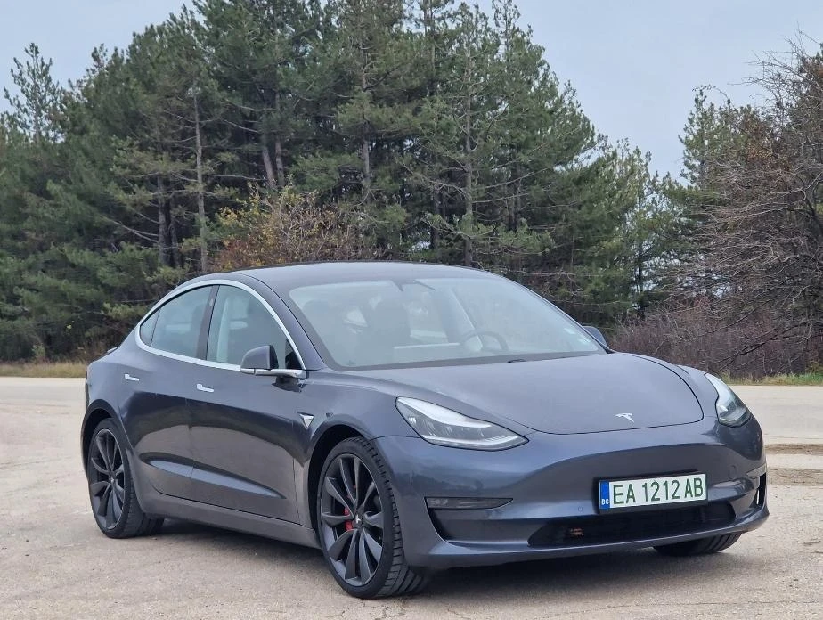 Tesla Model 3 Performance EU - изображение 9