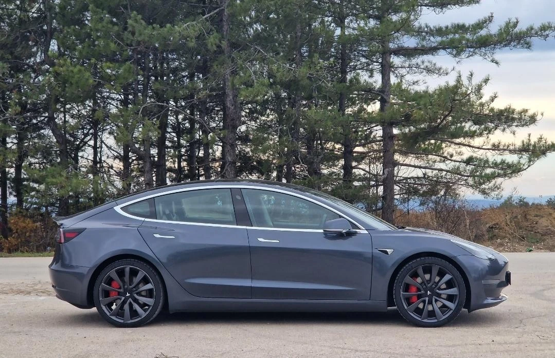 Tesla Model 3 Performance  | Mobile.bg   11
