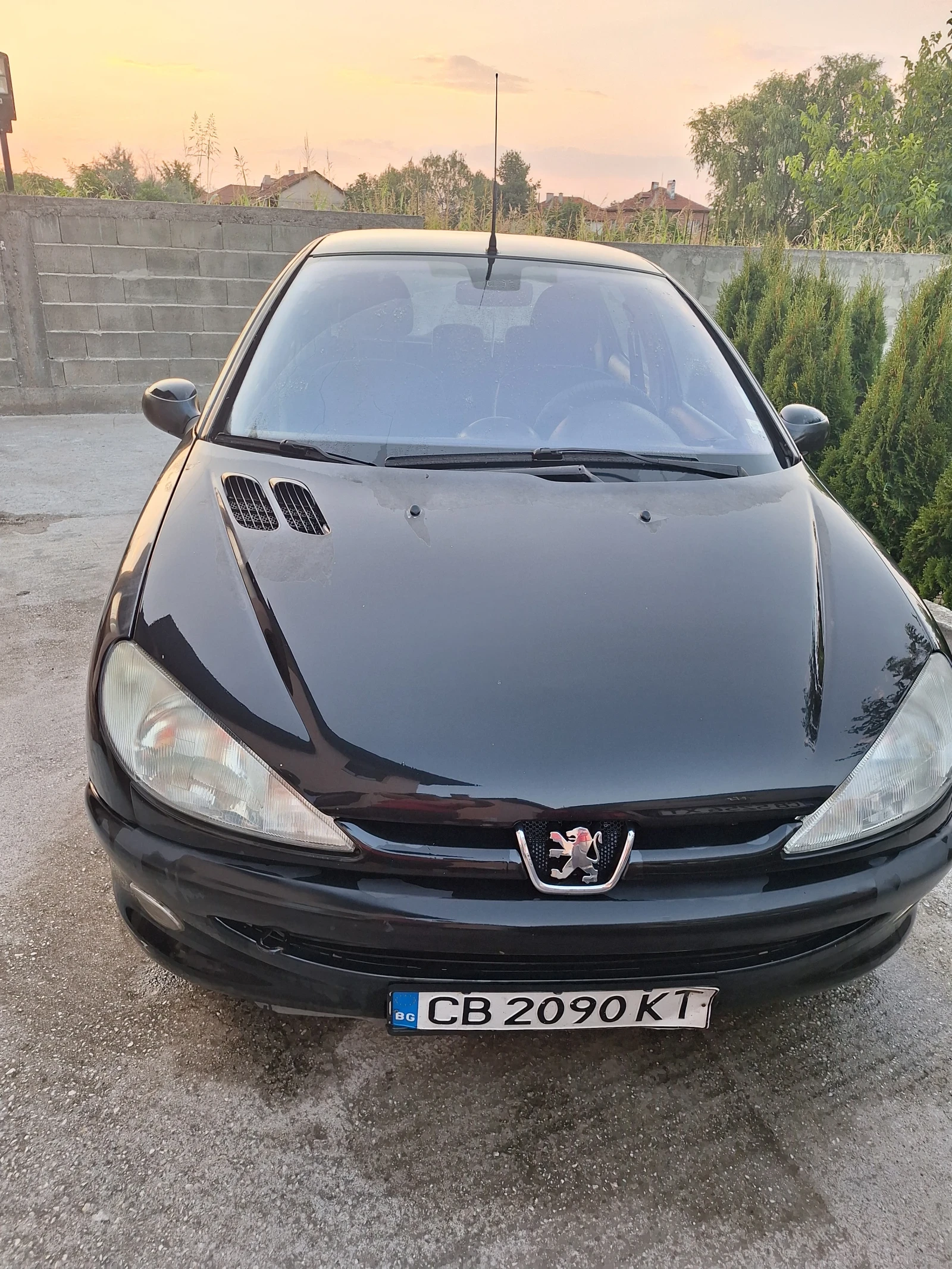 Peugeot 206  - изображение 2
