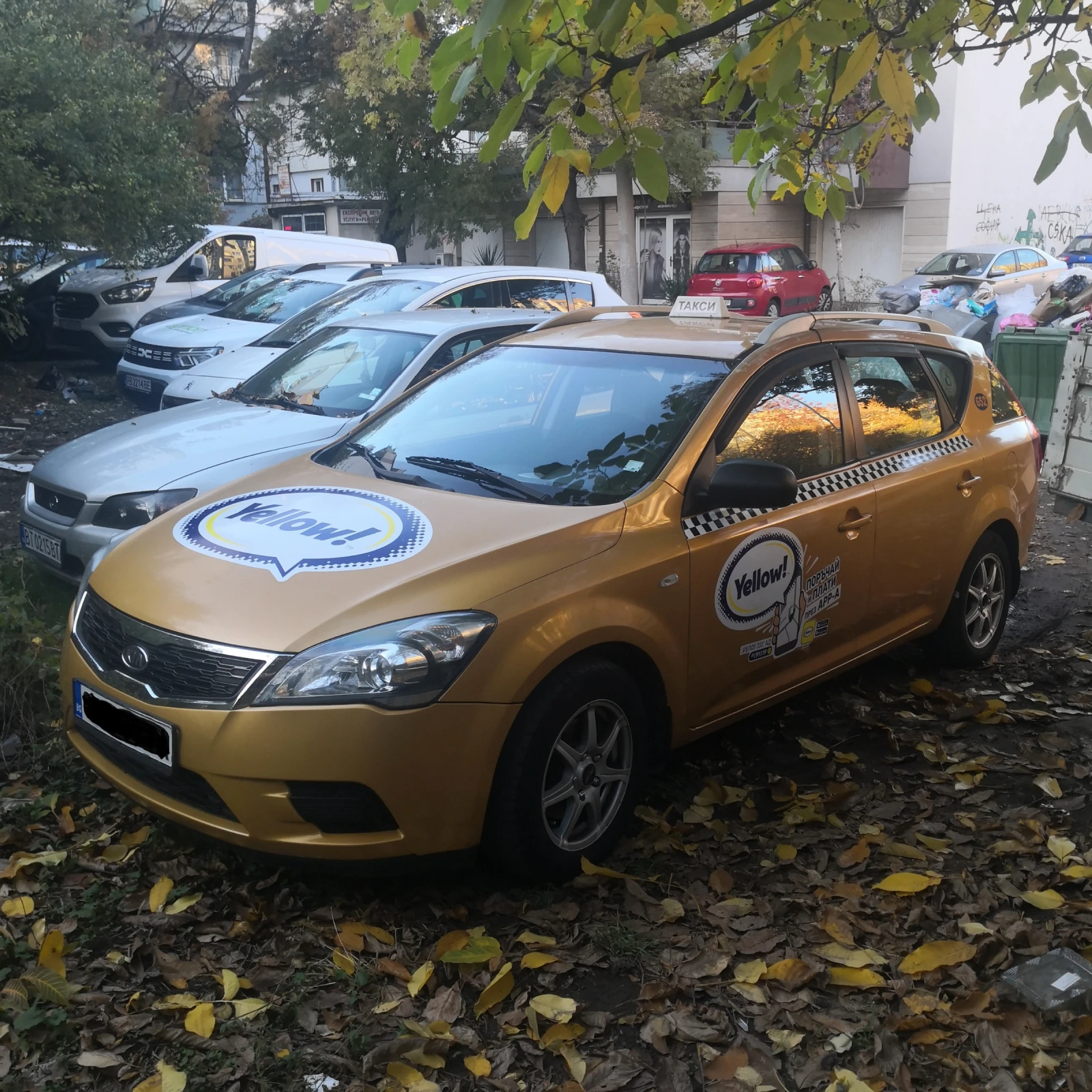 Kia Ceed  - изображение 2