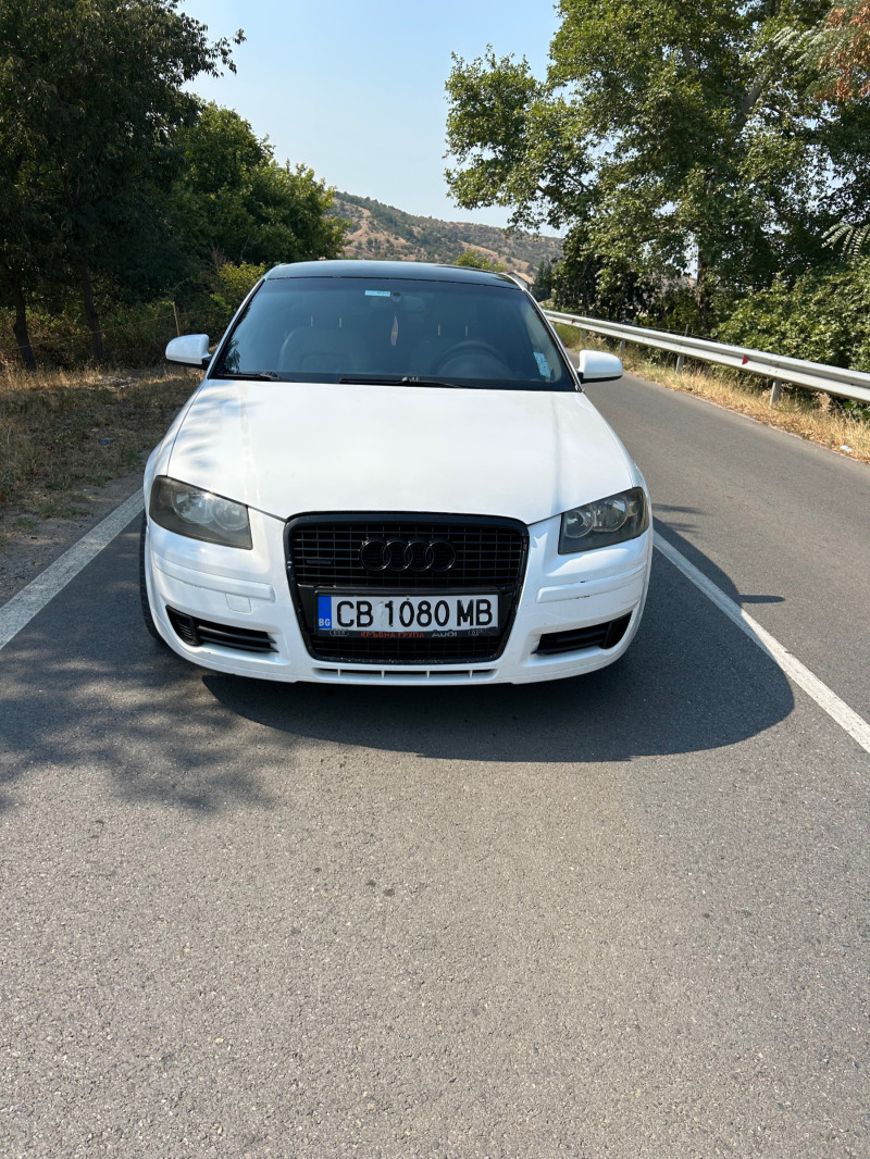 Audi A3 2.0TDI 6скорости, снимка 2 - Автомобили и джипове - 47287372