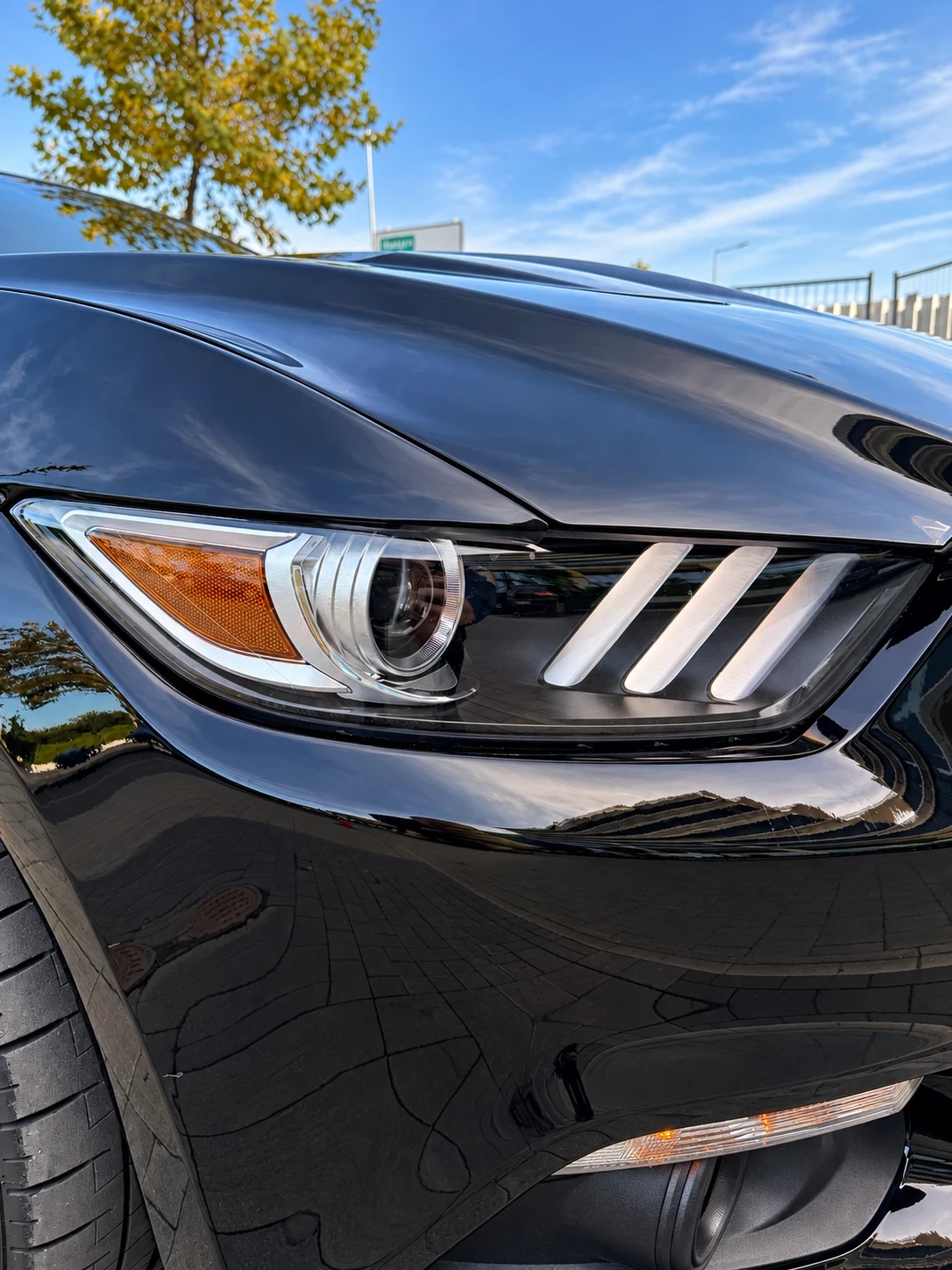 Ford Mustang GT /15 000�� / Performance Pack | Mobile.bg � ����������� 8