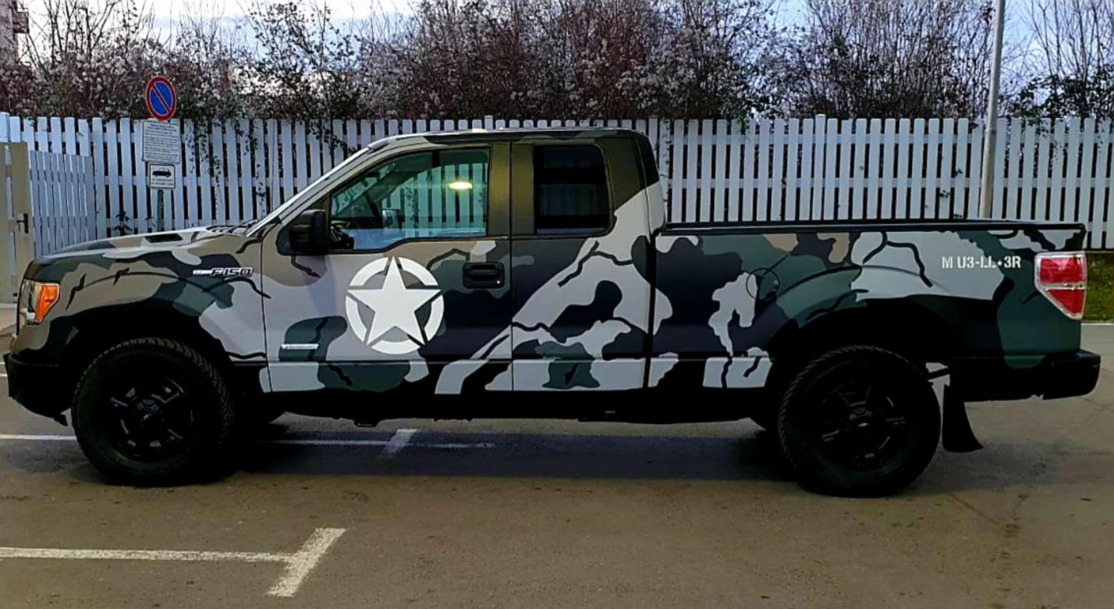 Ford Ranger Ranger F-150 - изображение 7